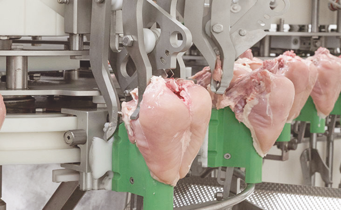 Geautomatiseerde pluimvee-verwerkingslijn in een moderne foodfabriek
