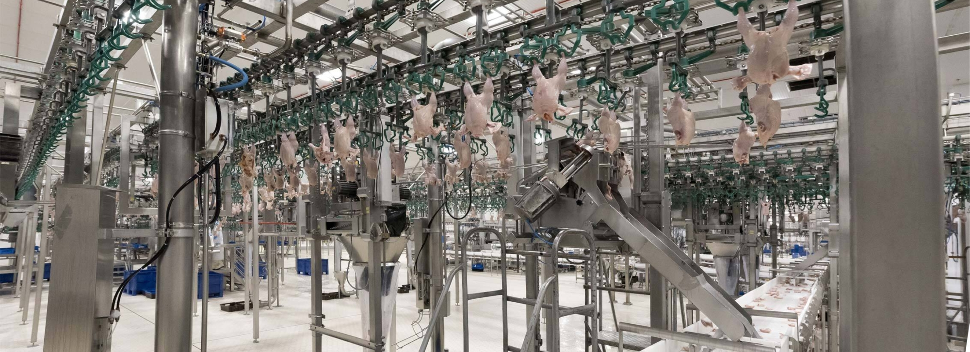 Industriële foodprocessing-productielijn